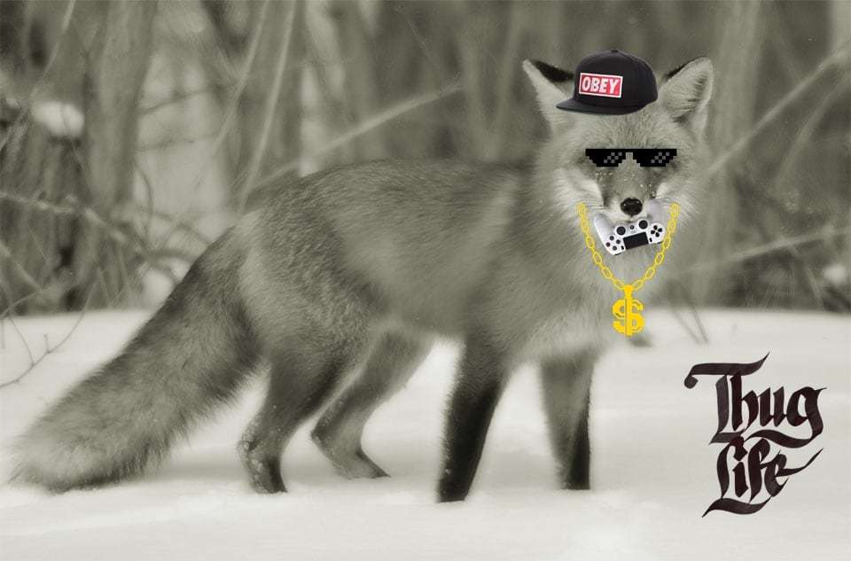 PlayStation Controller