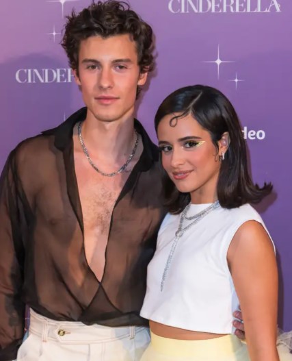 Annotation 2021-11-18 104056