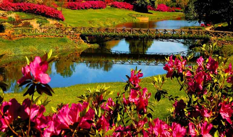 As The Earth's Seasons Alter, The Spring Equinox Of 2022 Arrives In The Northern Hemisphere, Heralding Spring.