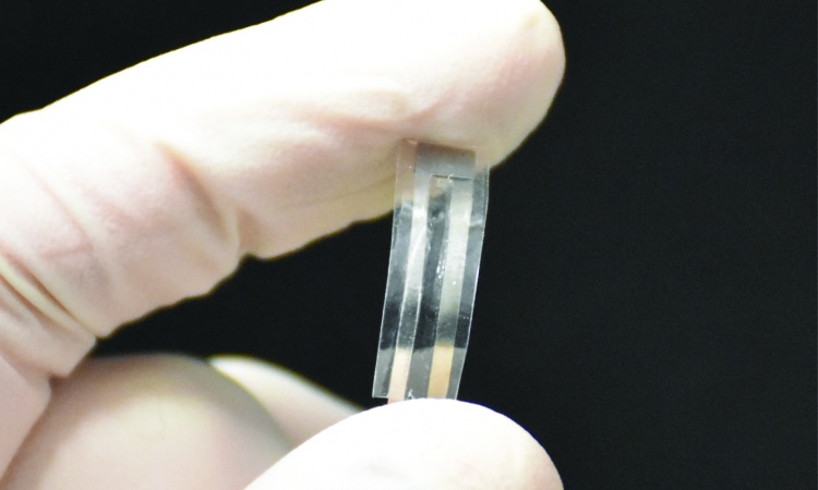 The Biodegradable Sensor Generates Safer Understanding of Brain Chemistry.