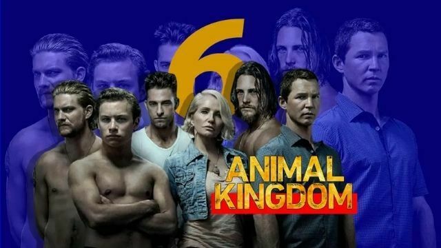 Animal-Kingdom-Season-6