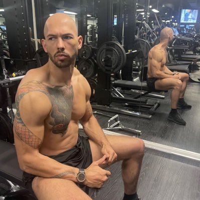 Andrew Tate Andrew Tate