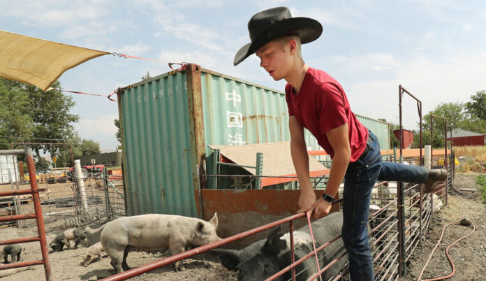 cellphones-in-classroom-out-exploring-real-world-2796