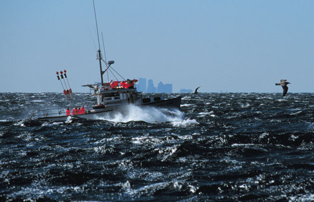 climatechangestormsurge-6645