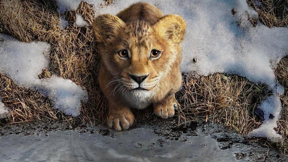 mufasa-lion-king-disney-plus-release-date-7738.jpeg
