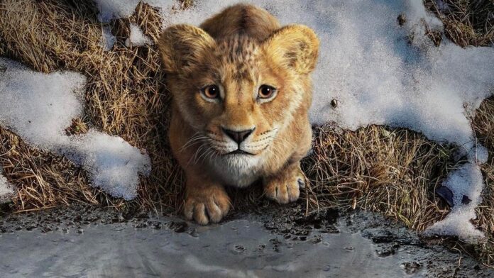 mufasa-lion-king-disney-plus-release-date-9844