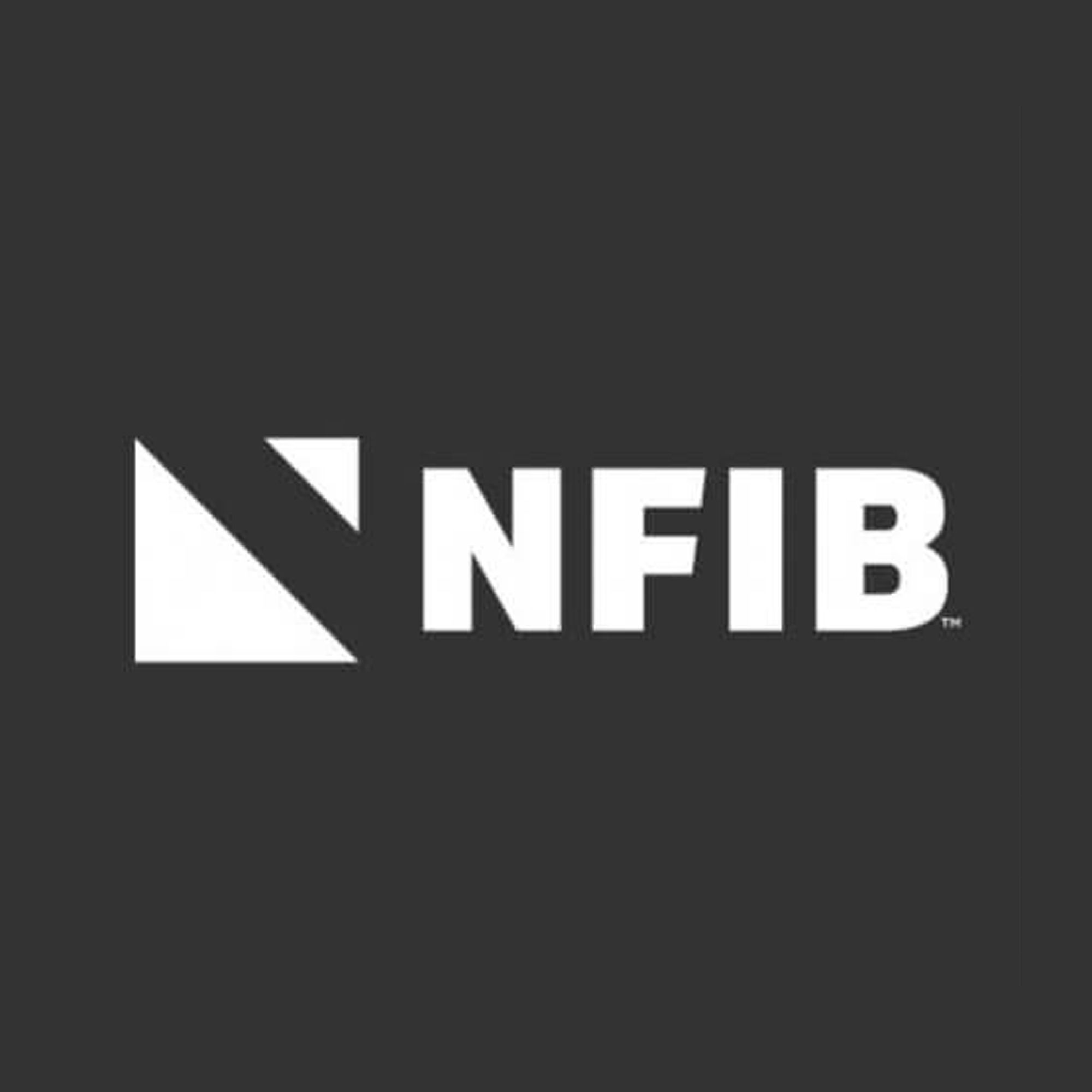 nfib-small-business-tax-webinar-tips-6244.jpeg