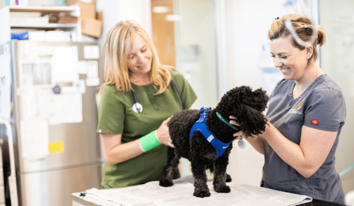 petdesk-data-2025-pr-newswire-5917