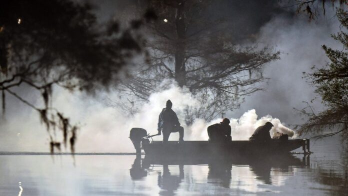 southern-brunswick-entertainment-6958