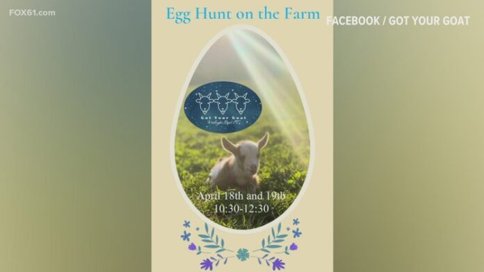 foxwoods-sports-entertainment-future-ct-9664