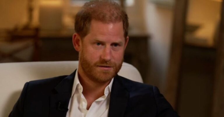 Shocking Prince Harry Remark Leaves Royal Fans Speechless
