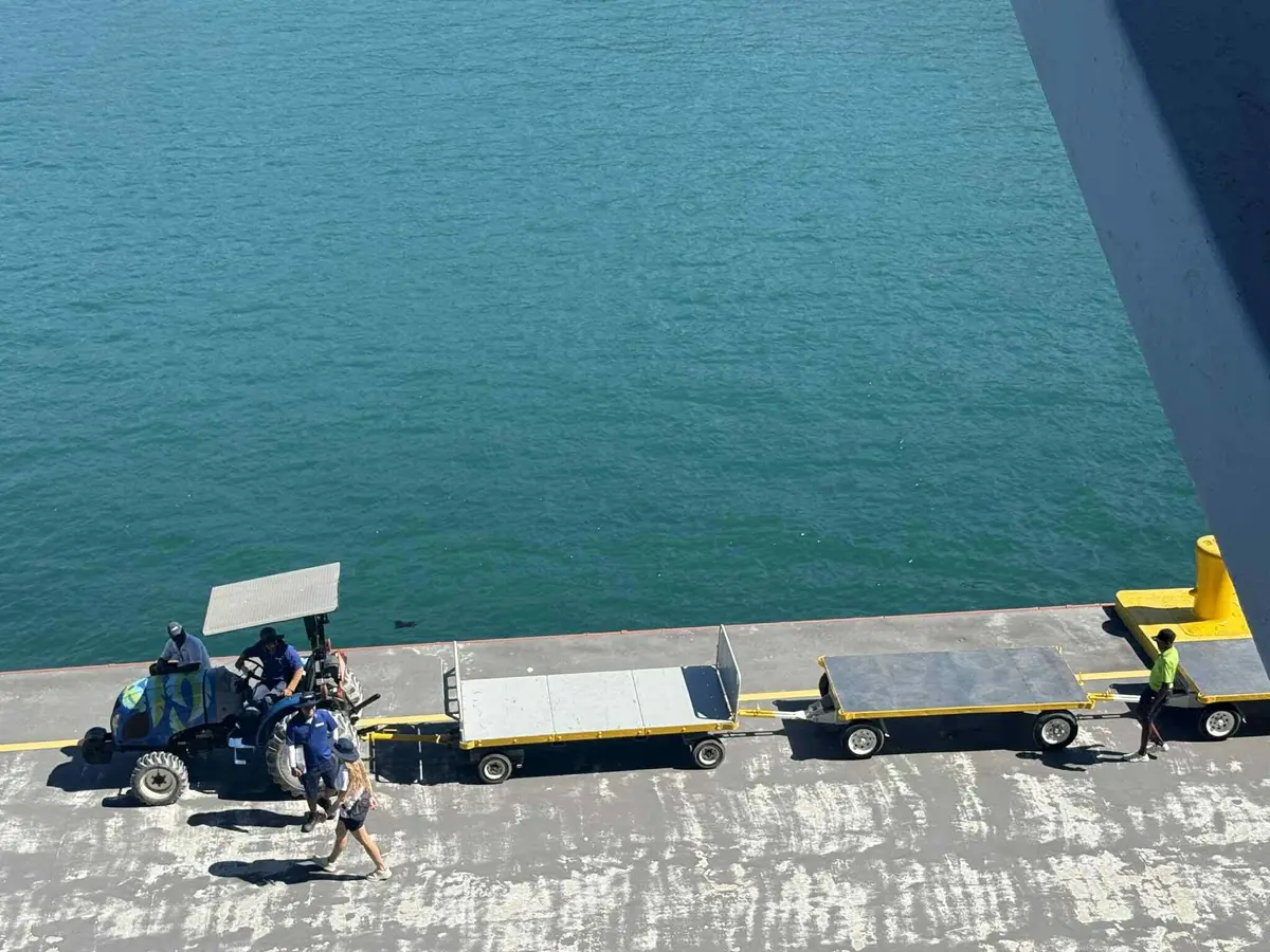 Breaking: Apple Delays Standard iPhone, Prioritizes Premium Models