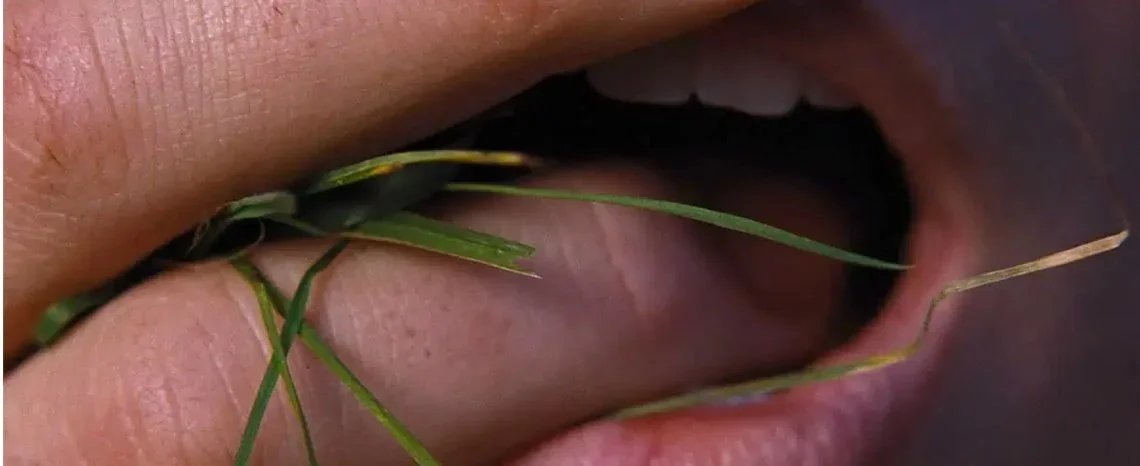 ‘GOAT’ To Knock ‘Wuthering Heights’ Out Of No. 1 In U.S., But Jacob Elordi & Margot R