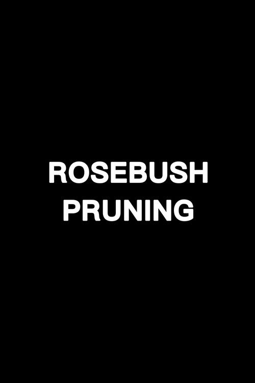 rosebush-pruning-just-redefined-extreme-1771142966852