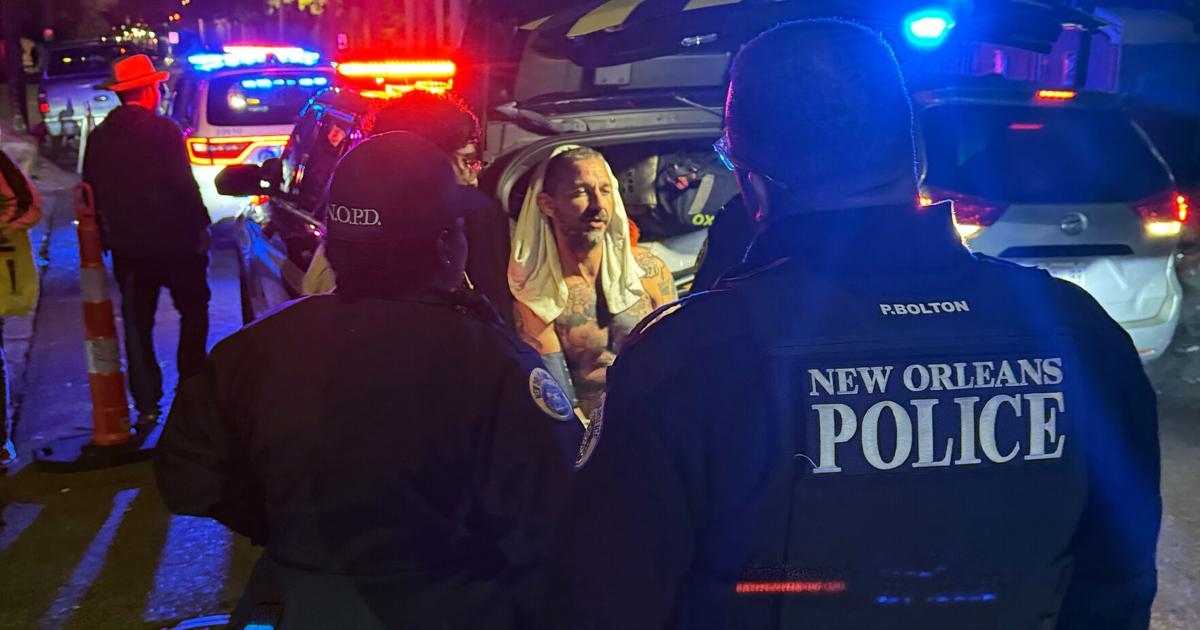 Shia LaBeouf Ordered to Rehab After Mardi Gras Brawl