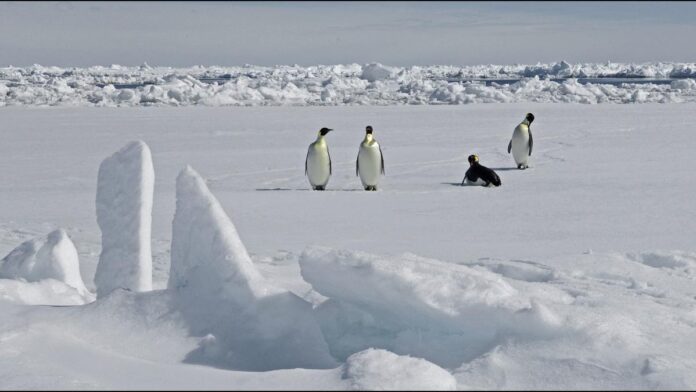 breaking-agencies-test-banned-anthropic-1776238735014