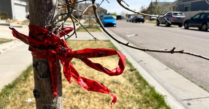 breaking-family-of-nj-influencer-ashly-r-1776238505940