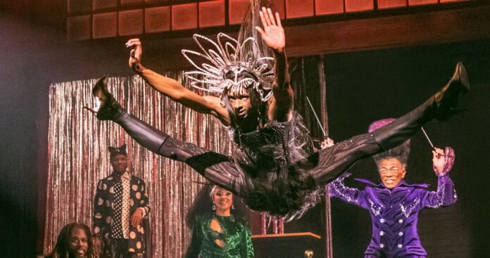 what-this-feline-ballroom-remix-reveals-1775634615739